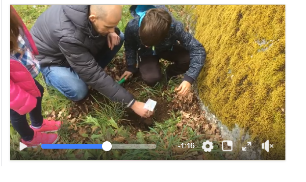 Famílias e reflorestação