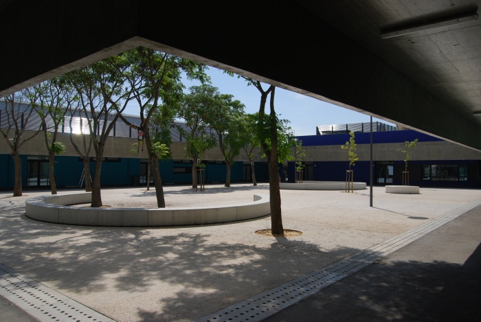 As Árvores da nossa Escola.