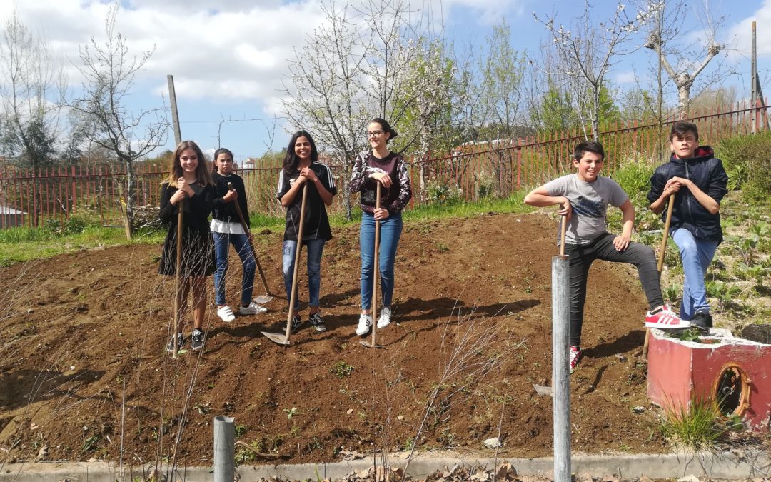 Horta biológica e canteiro das aromáticas – regresso aos trabalhos