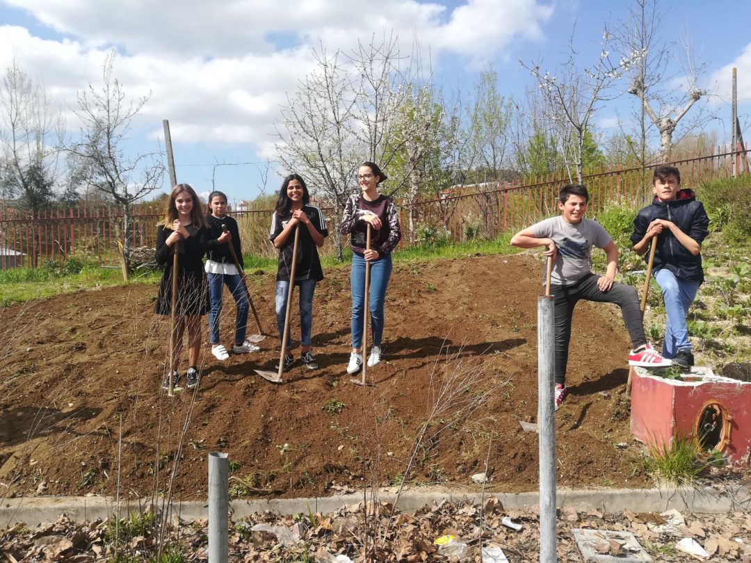 Horta biológica e canteiro das aromáticas – regresso aos trabalhos