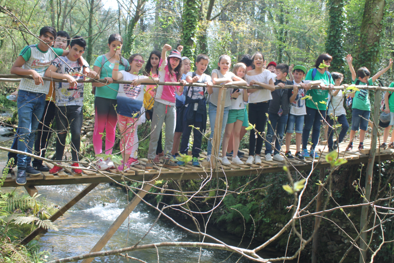 Dia Mundial da Terra/Rota da Floresta