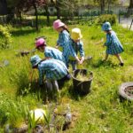 Juntos pela Floresta