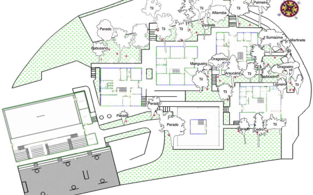 Mapeamento das Árvores da Escola