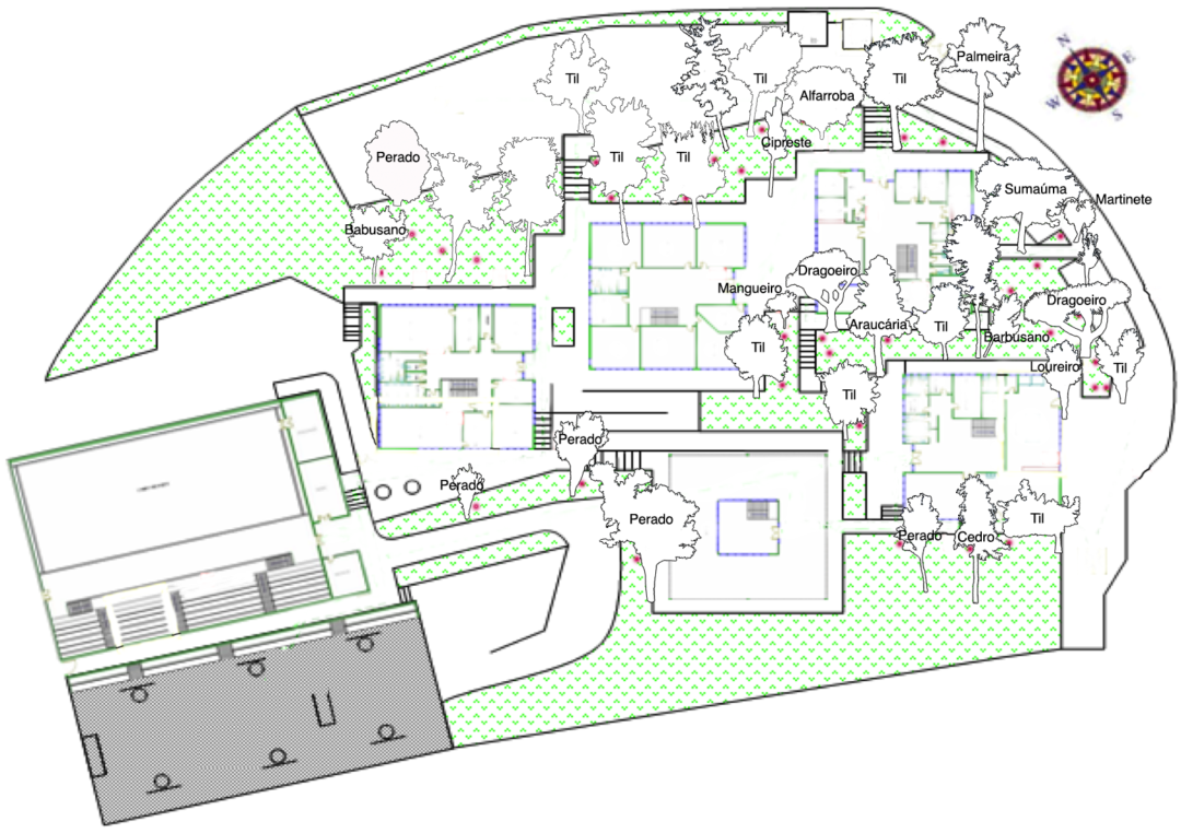 Mapeamento das Árvores da Escola