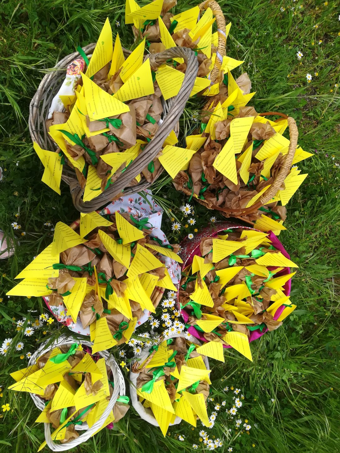 Entrega de sementes de espécies de Quercus a todos os docentes e não docentes do Agrupamento de escolas de Mangualde