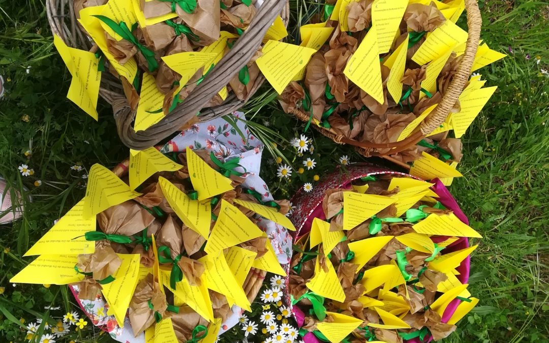 Entrega de sementes de espécies de Quercus a todos os docentes e não docentes do Agrupamento de escolas de Mangualde