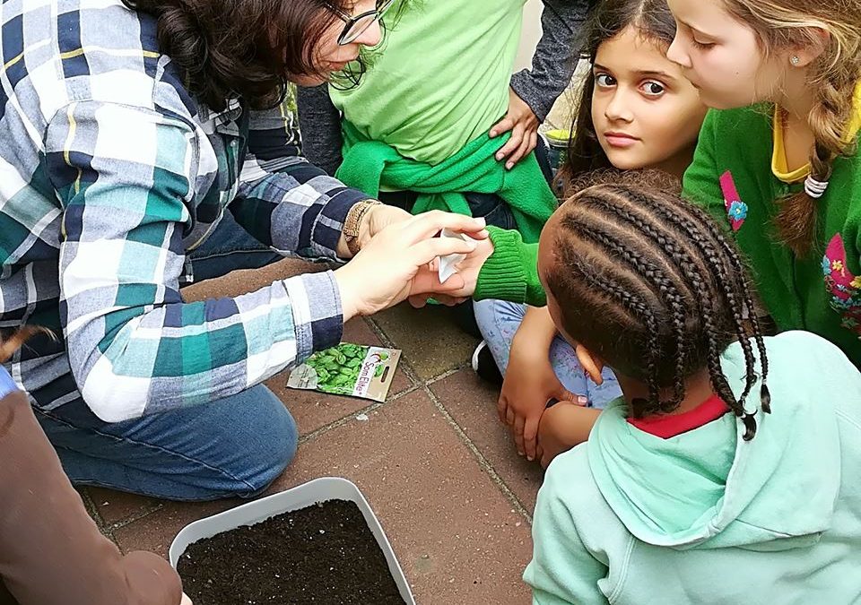 GAD da EBI da Boa Água