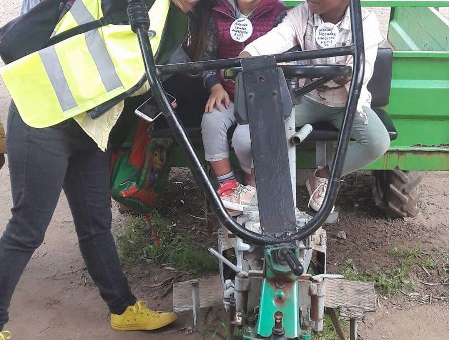 — Earth Day Commemoration — Global Action Days — Associação Cultural Moinho da Juventude —