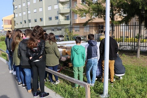 Aprender ao ar livre