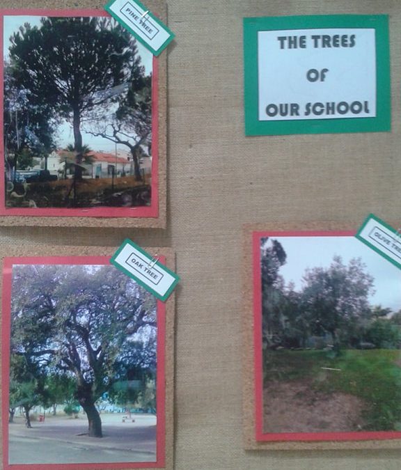 As árvores autóctones da nossa Escola em exposição.