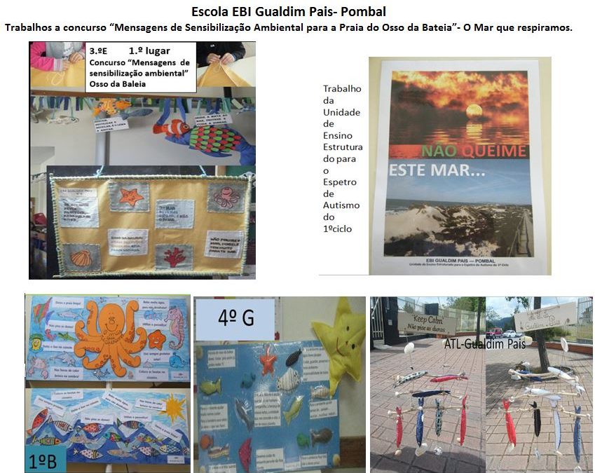 Trabalhos a concurso: “Mensagens de Sensibilização Ambiental para a Praia do Osso da Baleia”- O Mar que respiramos