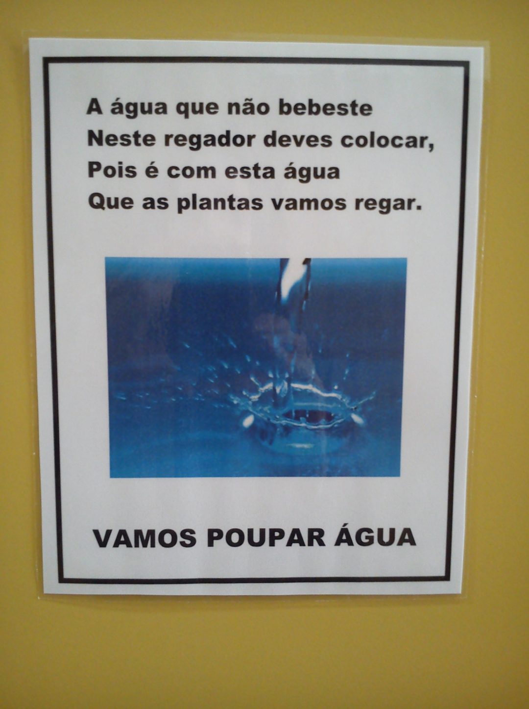 Água, um recurso a preservar.