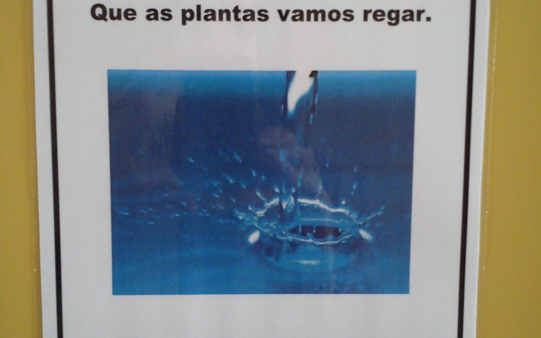 Água, um recurso a preservar.