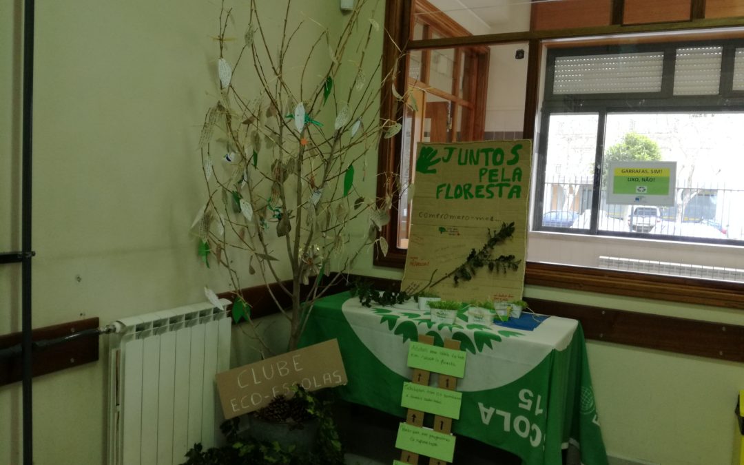 Painel de compromissos pela floresta…