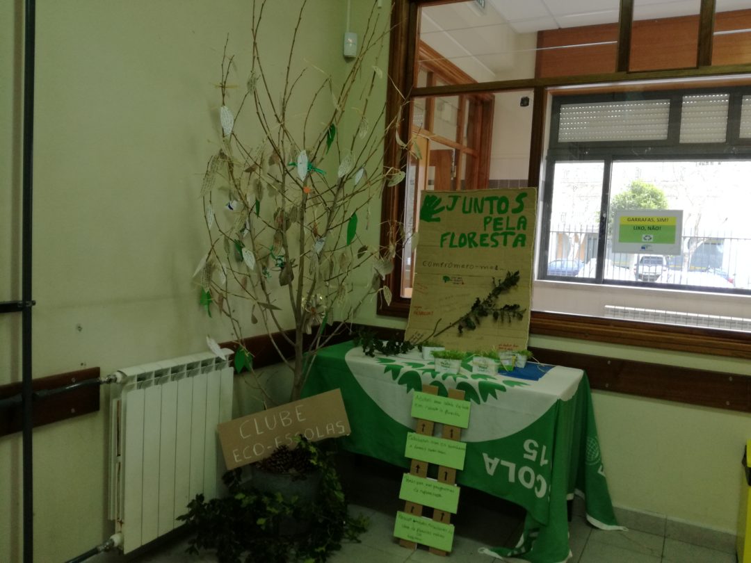 Painel de compromissos pela floresta…