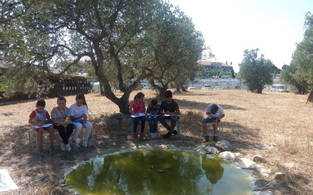 Quinta do charco – lugar dos sentidos