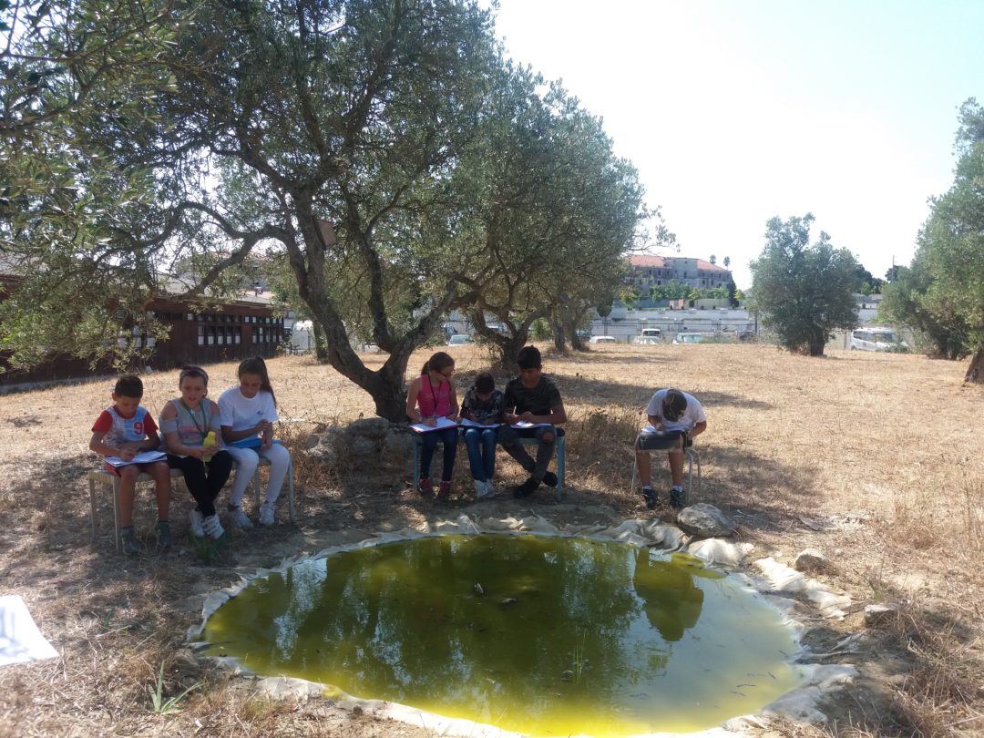 Quinta do charco – lugar dos sentidos