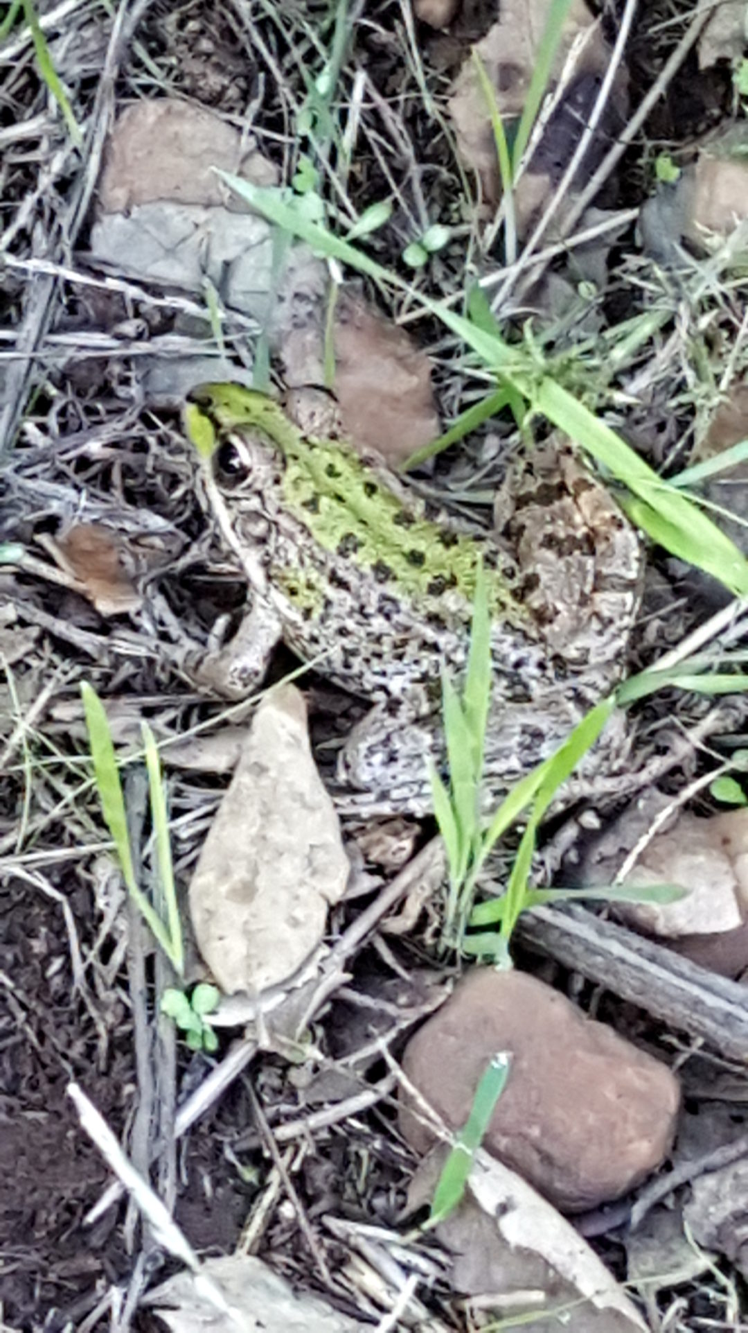 Visita de Estudo ao Parque Ambiental de Santa Margarida e ao Centro Ciência Viva de Constância