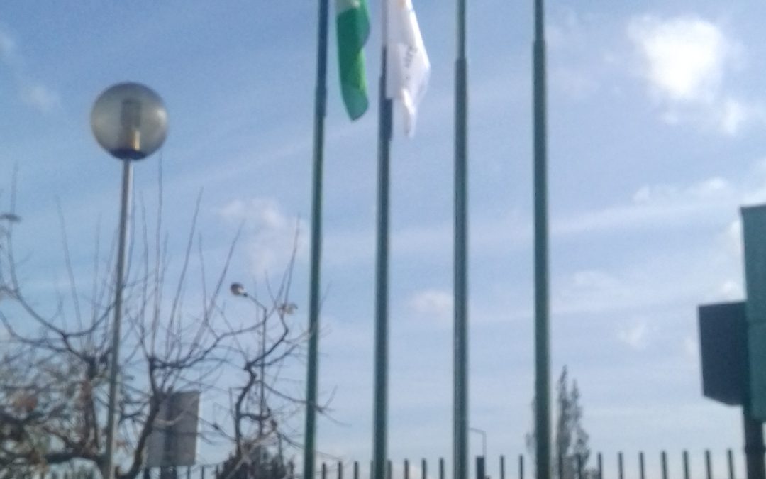 Hastear da Bandeira Eco-Escolas