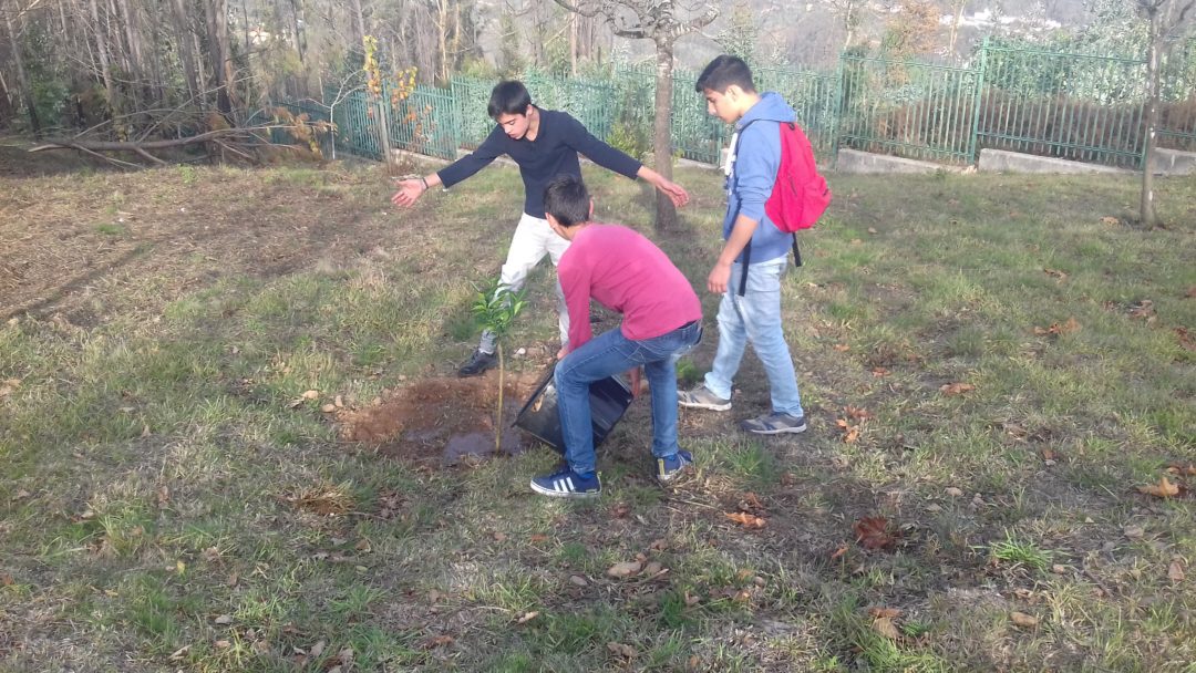 Comemoração do Dia da Floresta Autóctone
