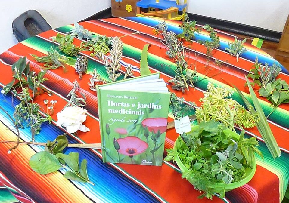 Alimentação Saudável e sustentável