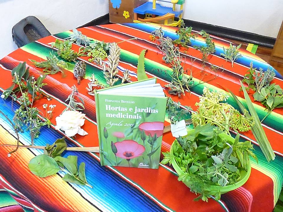 Alimentação Saudável e sustentável