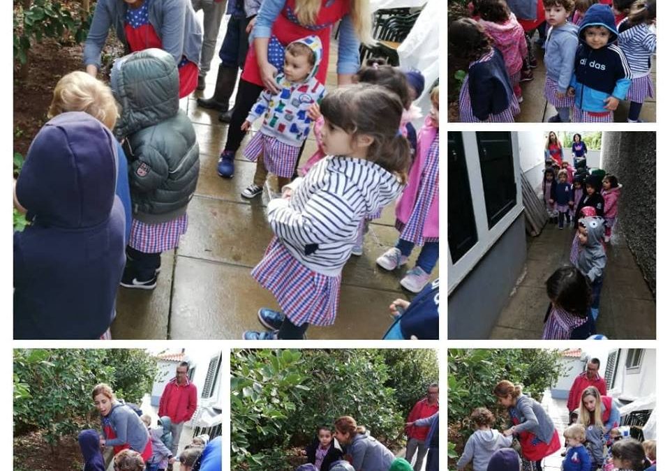 Vamos limpar a horta