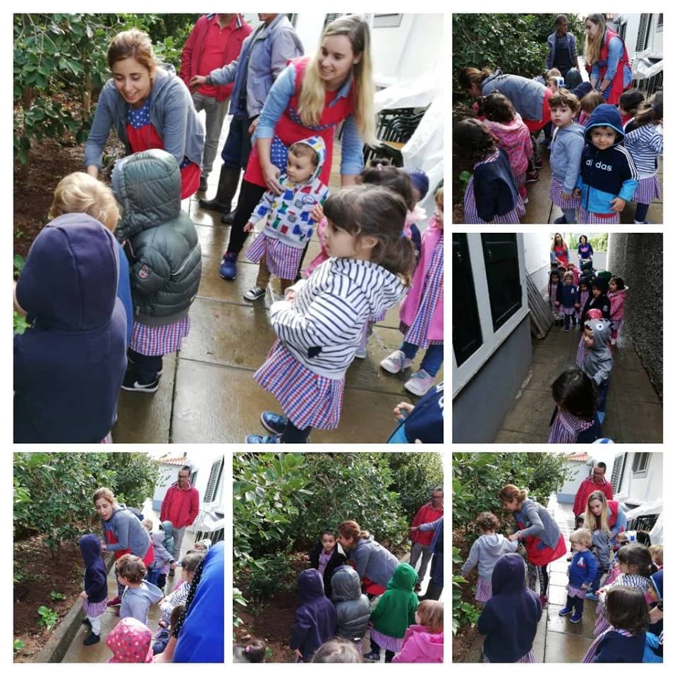 Vamos limpar a horta