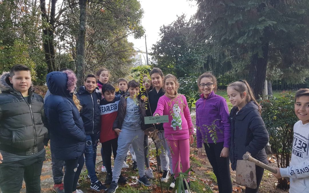 Dia da Floresta Autóctone