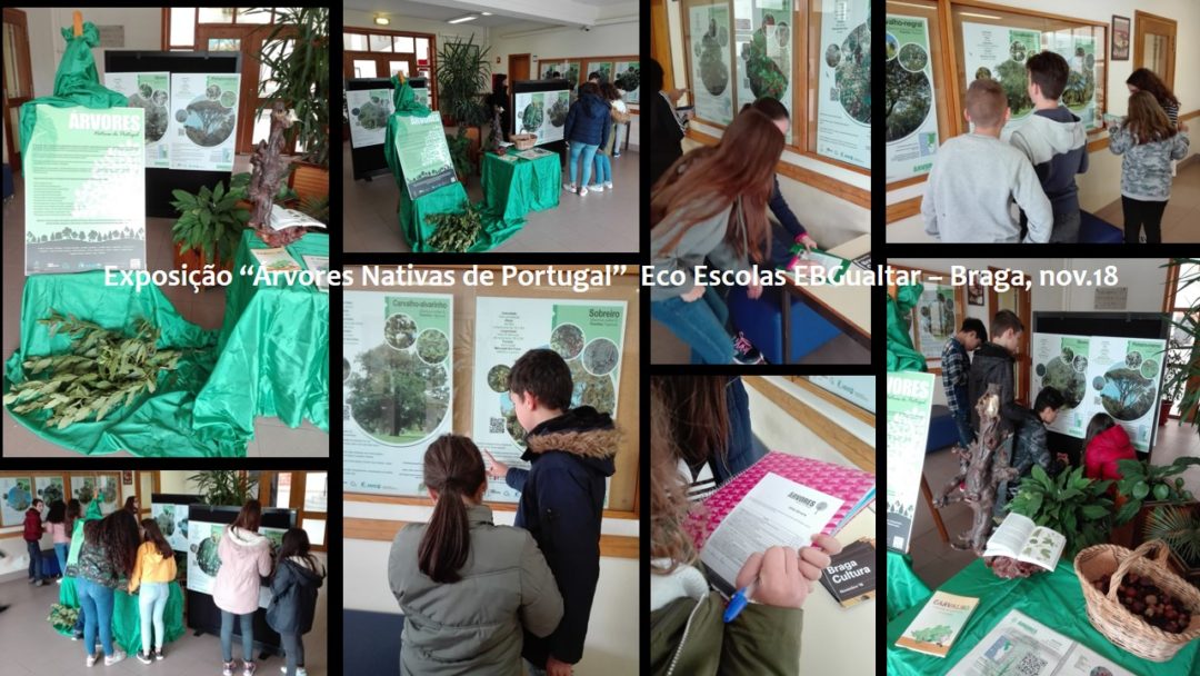 Exposição ” Árvores Nativas de Portugal”