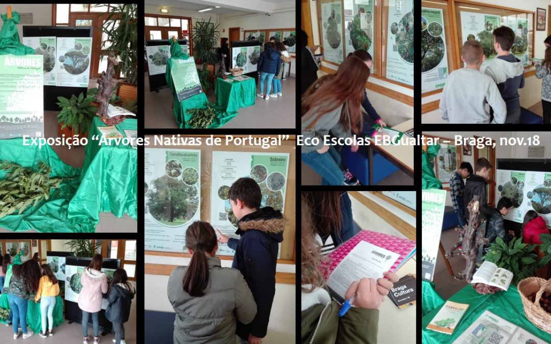 Exposição ” Árvores Nativas de Portugal”