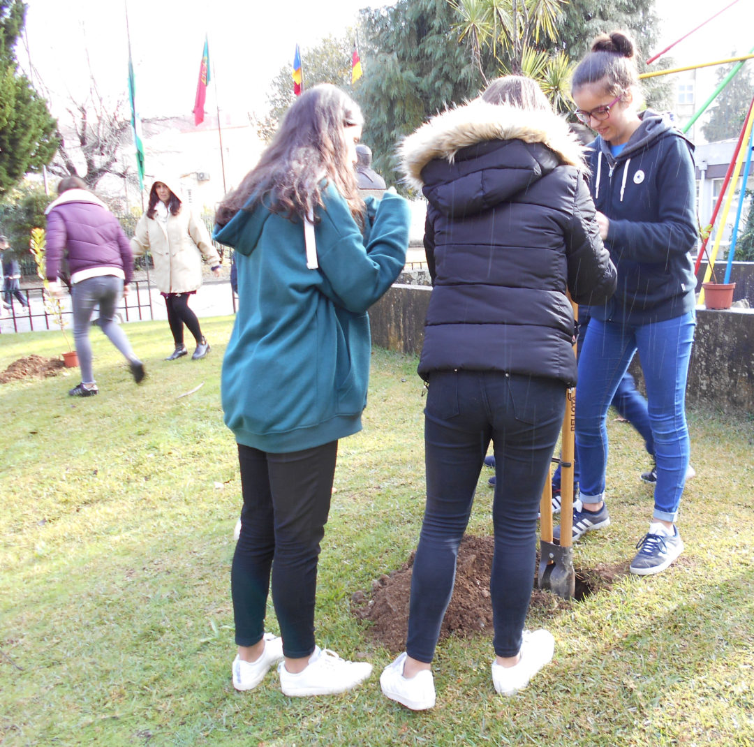 Conhecer e Plantar para a Floresta Preservar!