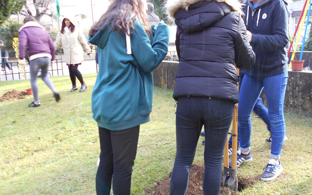 Conhecer e Plantar para a Floresta Preservar!