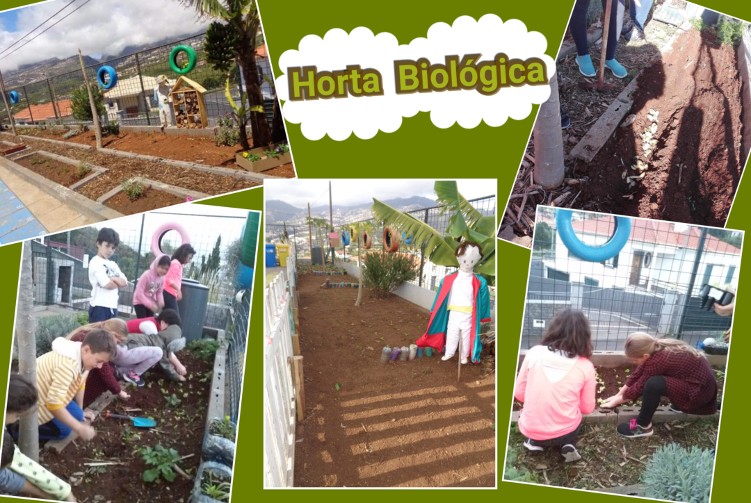 Horta Biológica – Um Contributo Para Um Amanhã Mais Sustentável