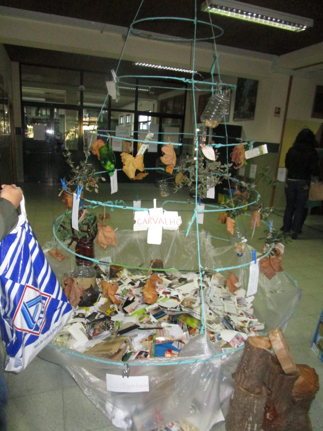 Dia da Floresta Autóctone – “Vamos devolver um pouco do que a floresta nos empresta” (EB 2,3 Escultor António Fernandes de Sá)