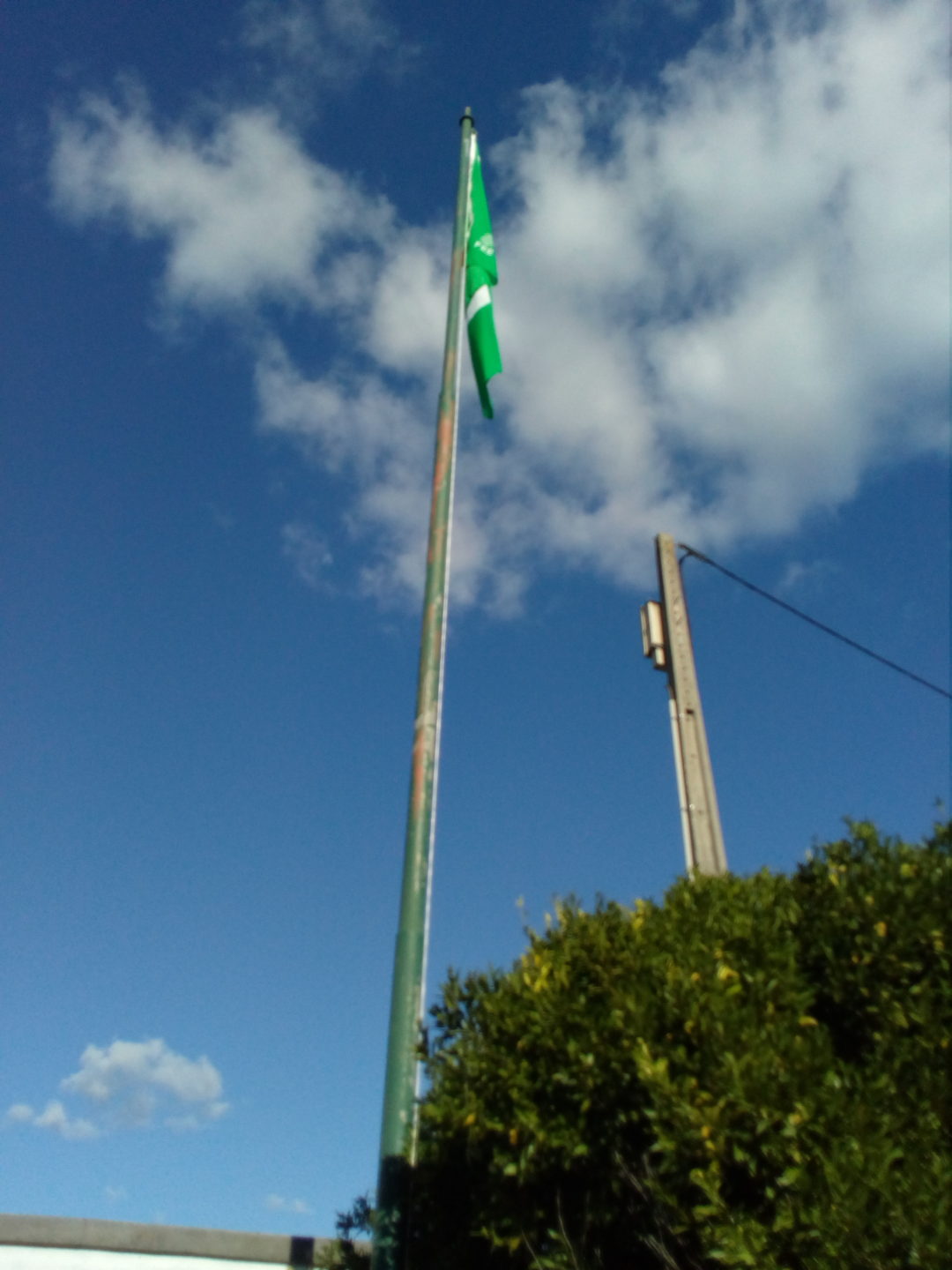A bandeira verde