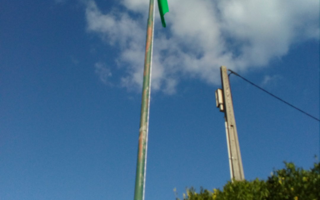 A bandeira verde