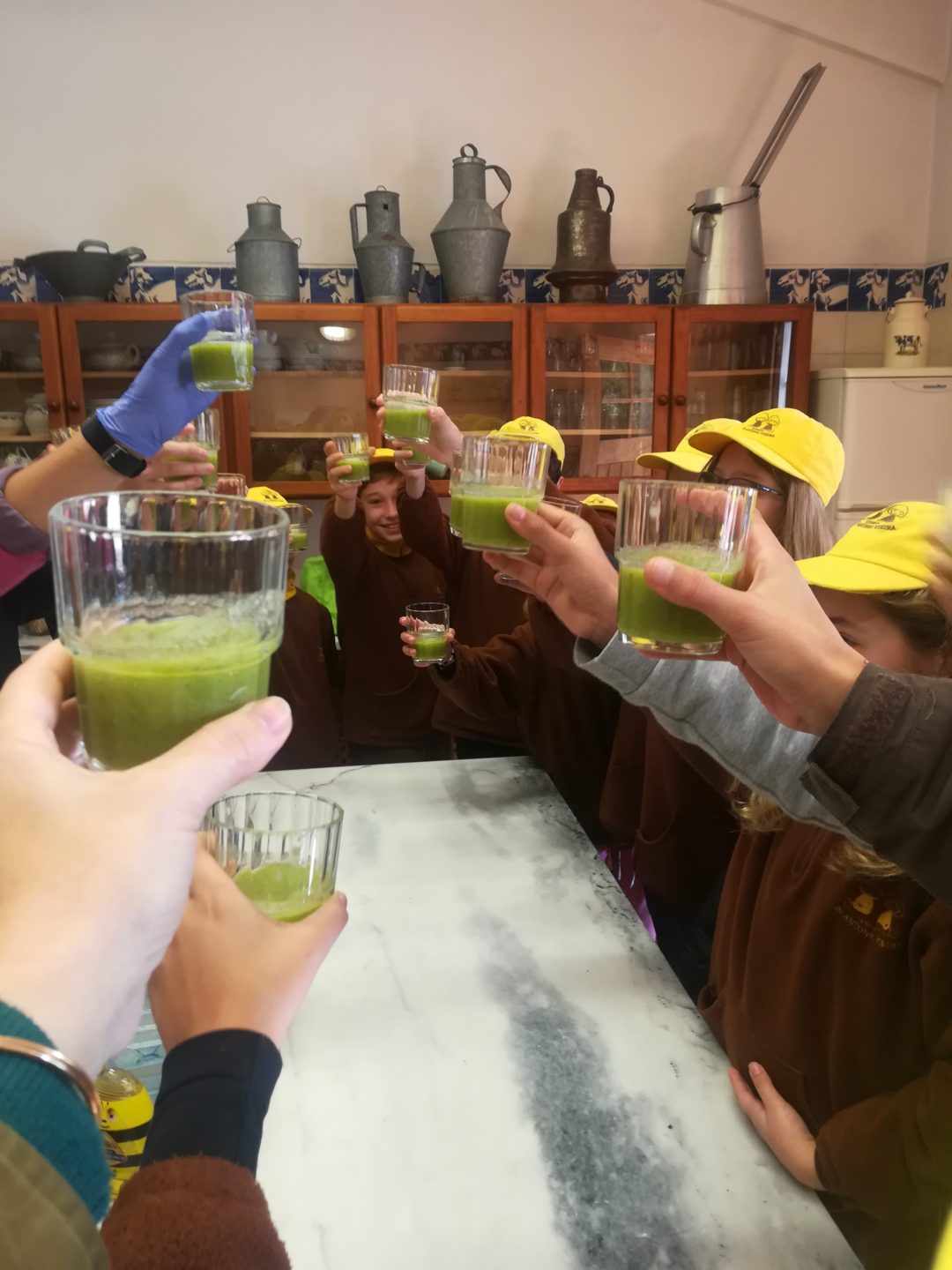 Alimentação saudável e sustentável