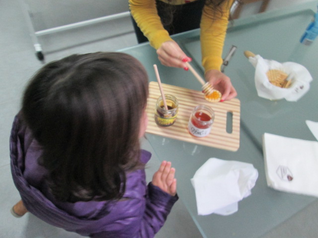 Alimentar e proteger as Abelhas / Brigada da Floresta do JI de Casais de S. Clemente / GAD