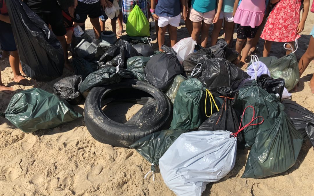 Recolha de lixo na praia