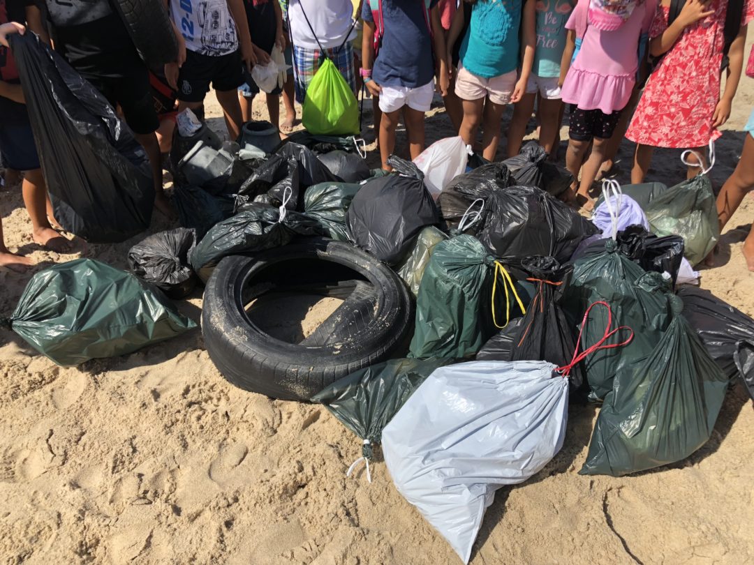 Recolha de lixo na praia