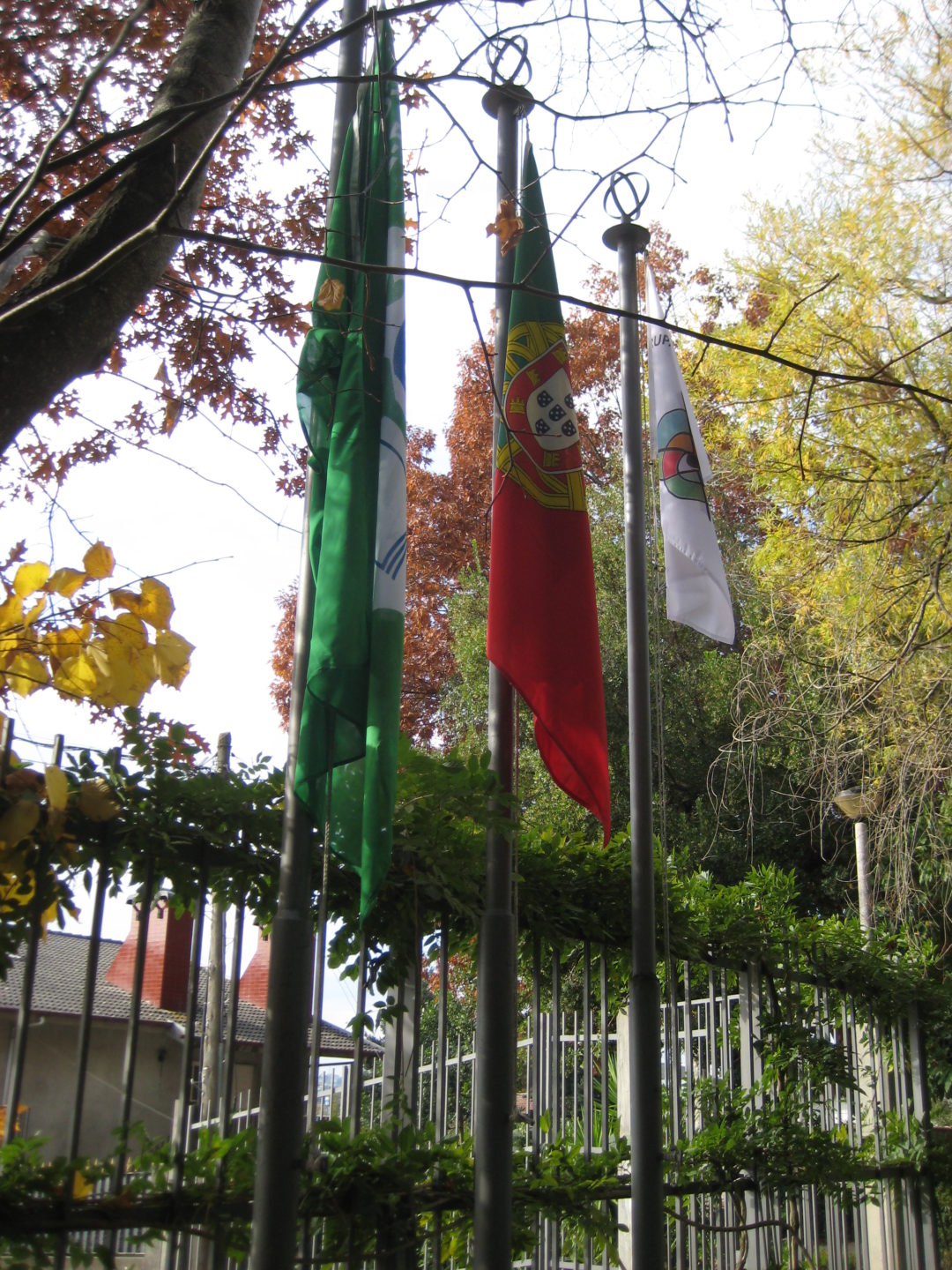 Dia Eco-Escolas na Escola Básica de Lousada Centro