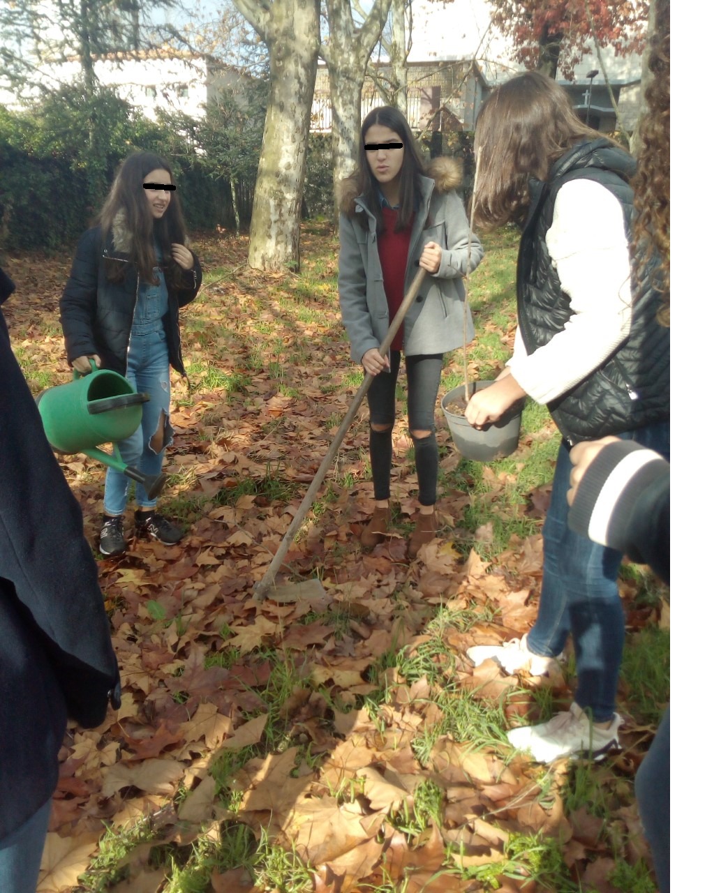 Floresta autóctone- um recurso a proteger