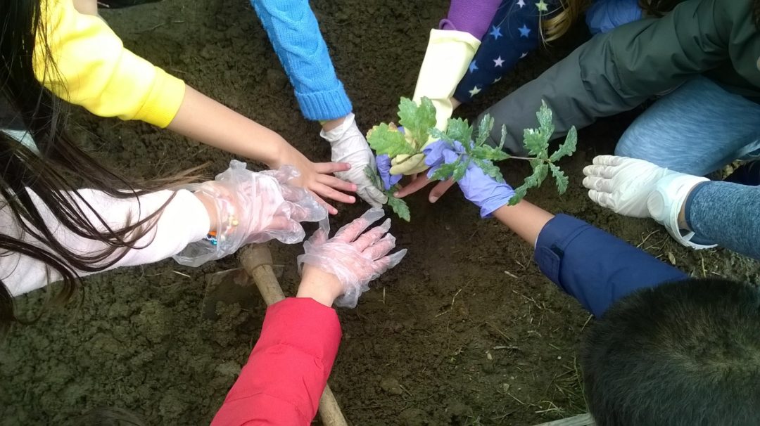 DIA da FLORESTA AUTÓCTONE – 23 de novembro