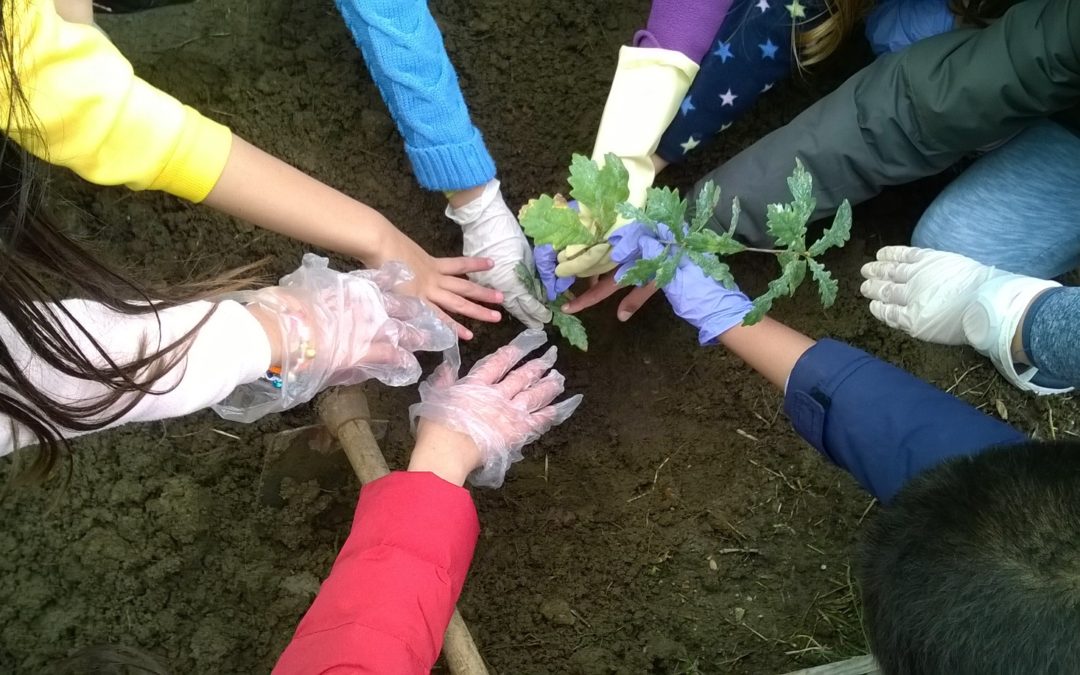 DIA da FLORESTA AUTÓCTONE – 23 de novembro