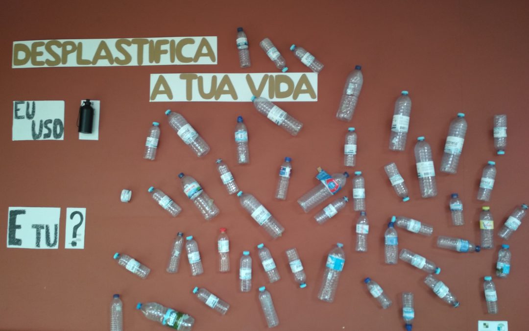 Desplastifica a tua vida