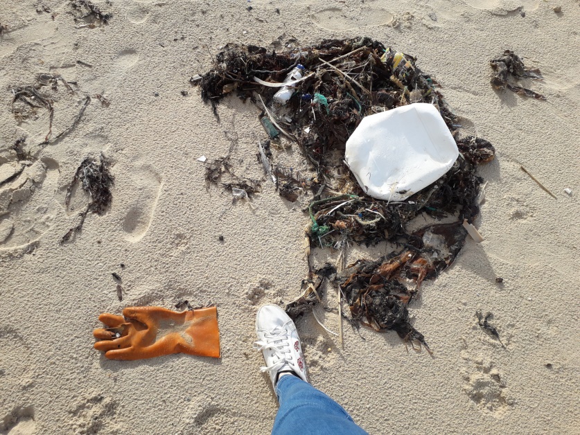 “Ocean or plastic”