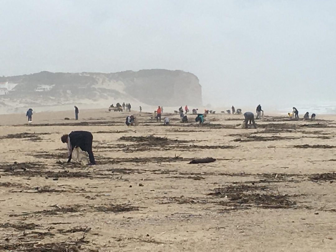 Limpeza da Praia da Foz do Arelho