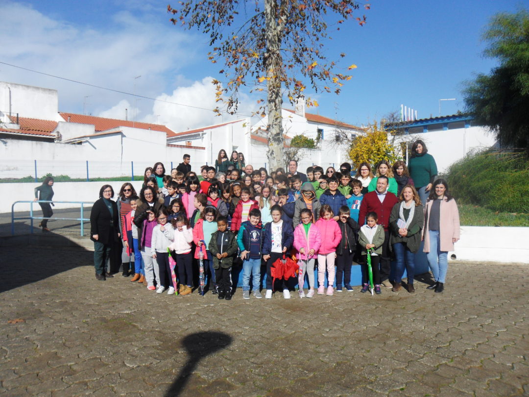 Comemoração do Global Action Day (novembro)