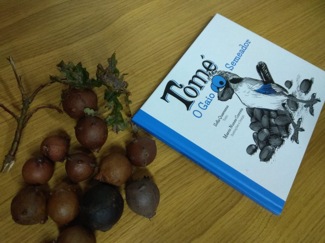 Leituras encenadas : ” Tomé, o Gaio semeador” e ” Boa noite Passarinho”